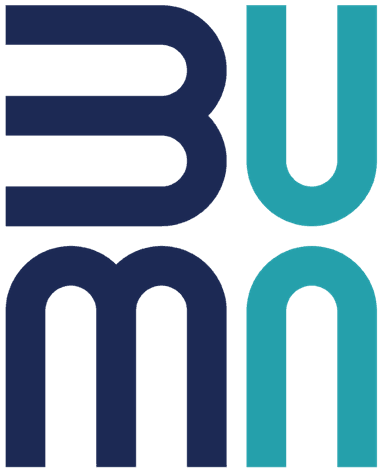 BUMN